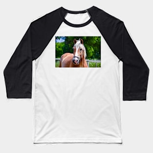 Horse Portrait Baseball T-Shirt